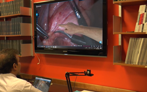 Image 4: View of a live surgical procedure from the remote surgeon’s perspective