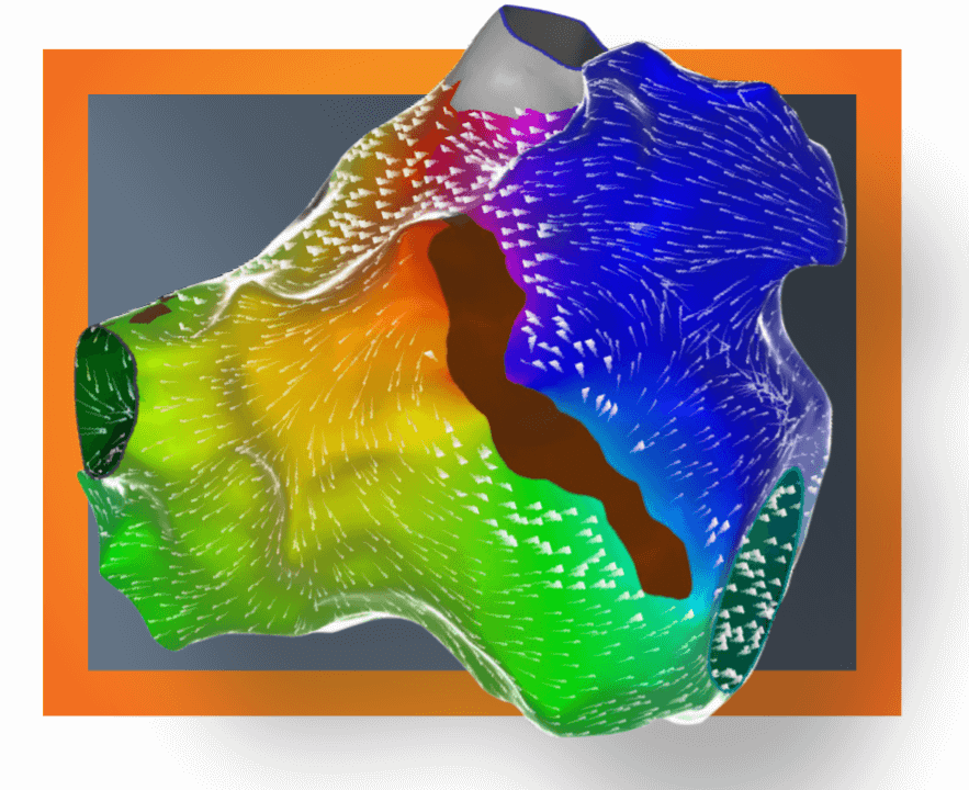 CARTO PRIME™ Mapping Module