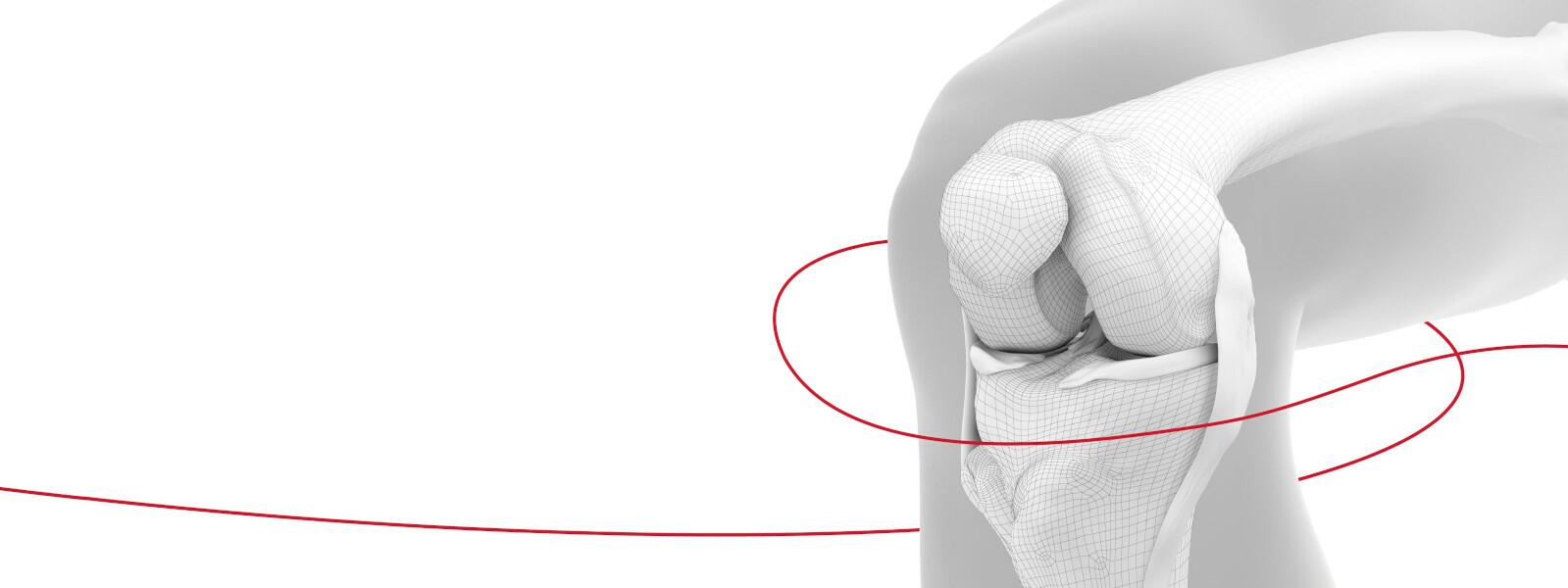 knee illustration