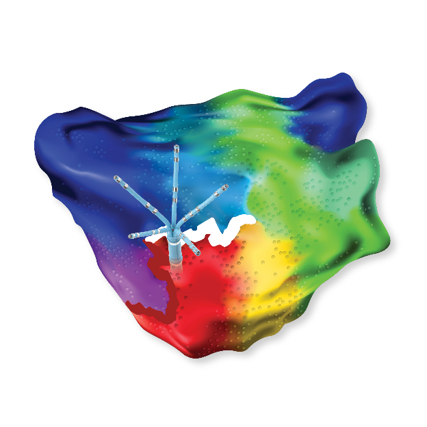 CARTO® 3 System Version 6 with HD Coloring